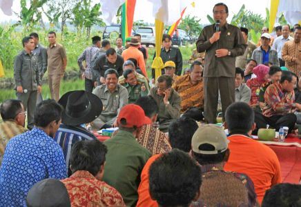 Mentan Ajak Kepala Daerah Lindungi Lahan Pertanian Produktif